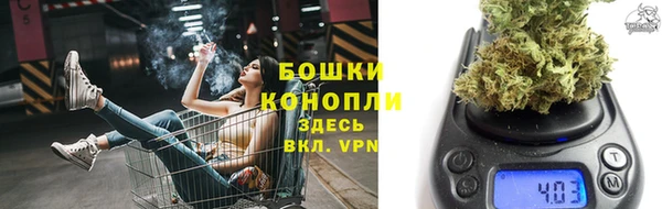 мдпв Богородск