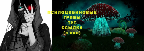 spice Богородицк