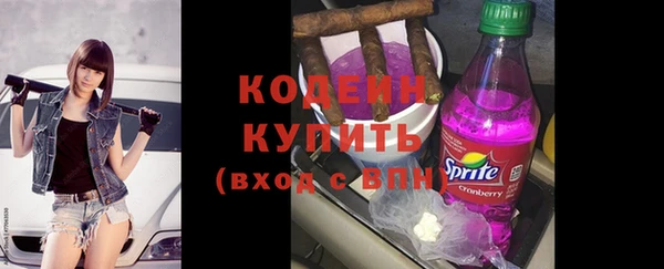 spice Богородицк