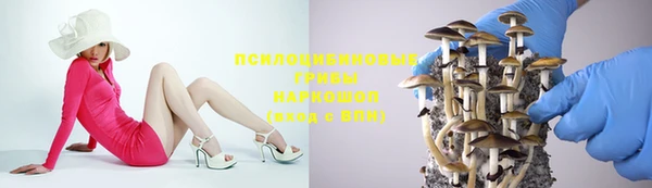 крисы Богданович