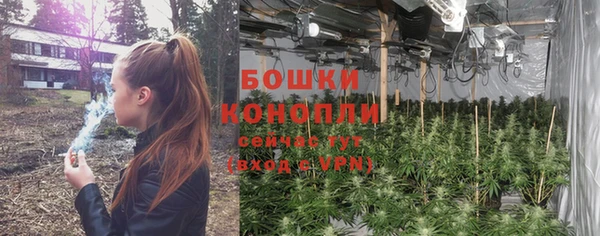 крисы Богданович