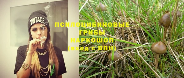 spice Богородицк
