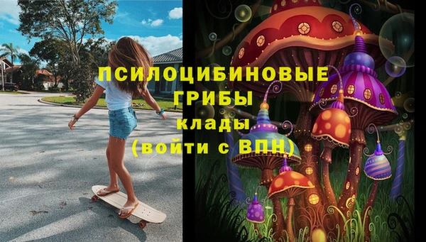 крисы Богданович