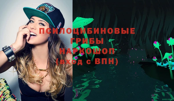spice Богородицк