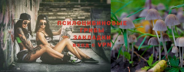 наркотики Бородино
