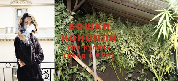 крисы Богданович