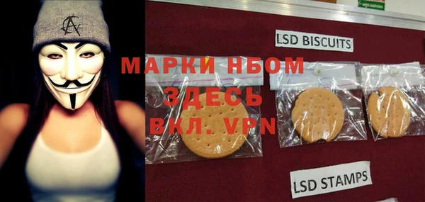 spice Богородицк
