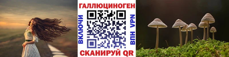 купить наркотик Козельск Галлюциногенные грибы мицелий